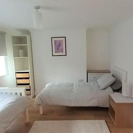2 Bedroom Victorian Garden Flat London Exterior foto