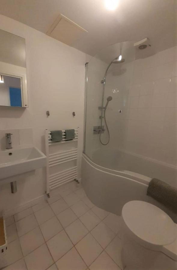 2 Bedroom Victorian Garden Flat London Exterior foto